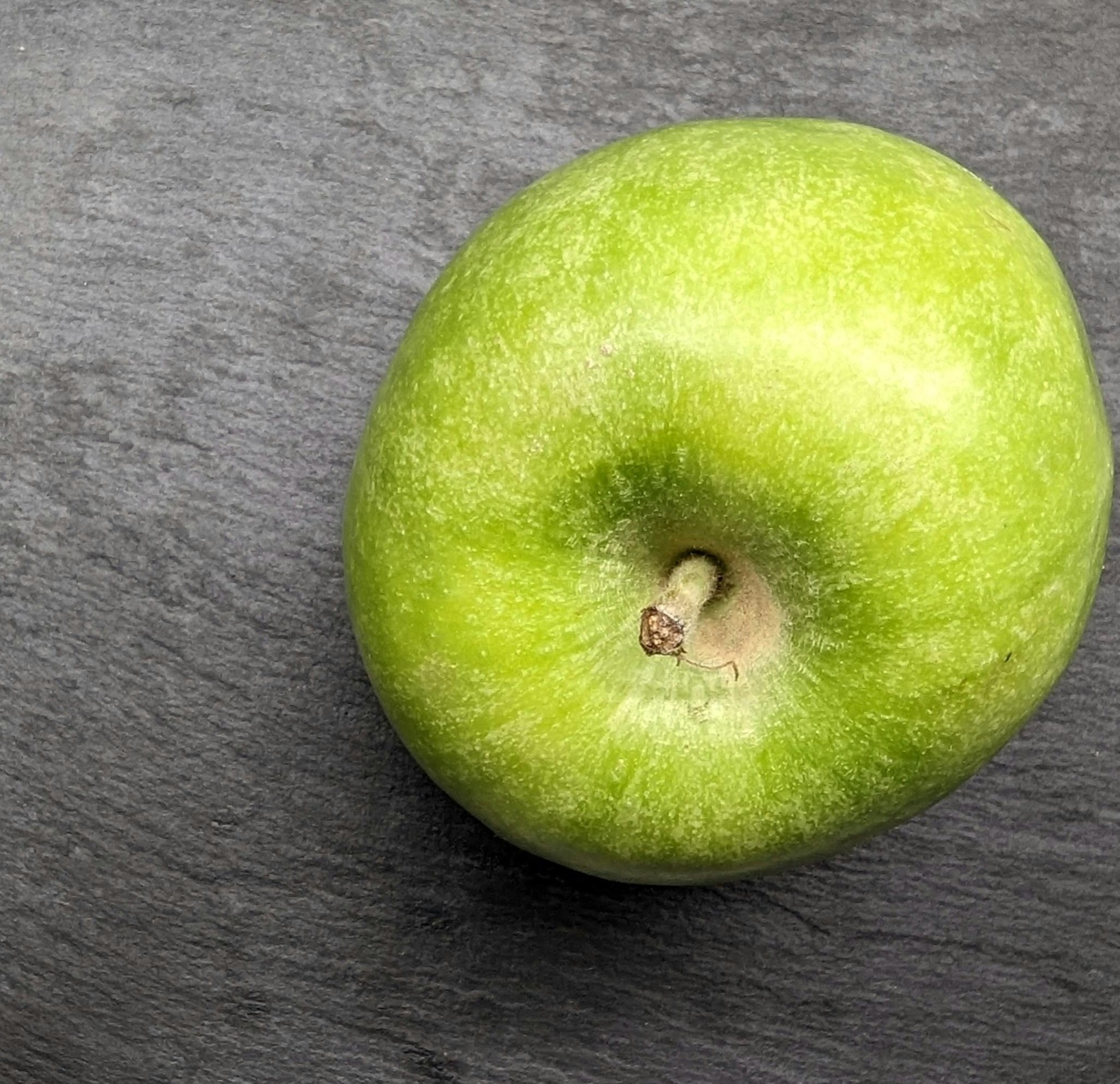 pexels-bogdankrupin-17036350